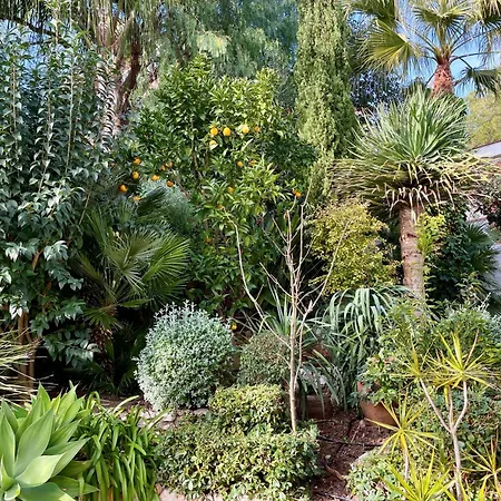 Entire With Pool, Ocean & Mountain Views Villa *