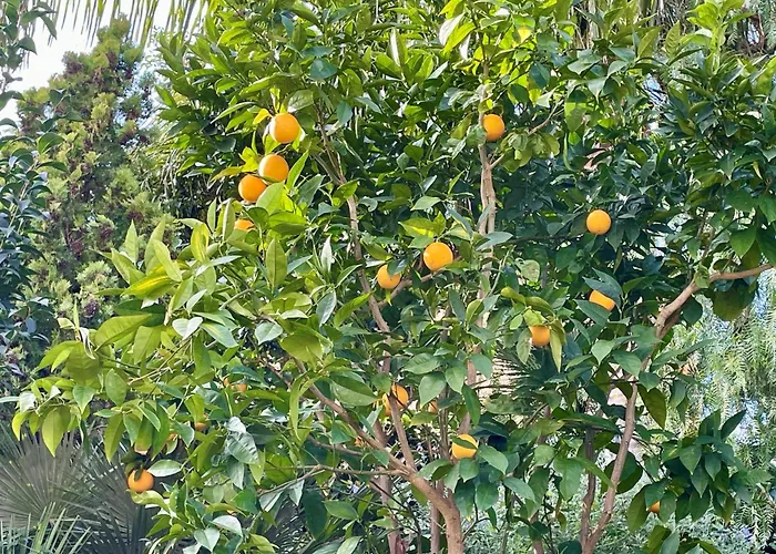 With Private Pool, Ocean & Mountain Views