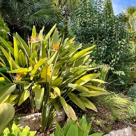 Вилла Entire With Pool, Ocean & Mountain Views *