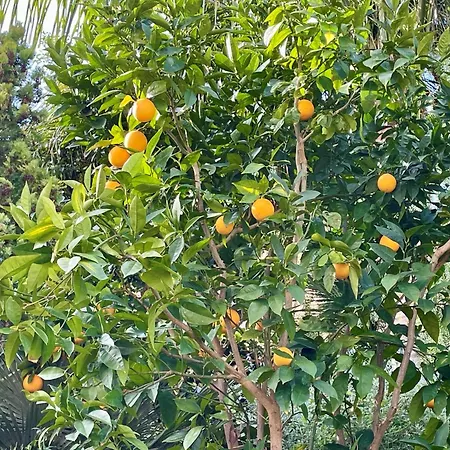 Entire With Pool, Ocean & Mountain Views